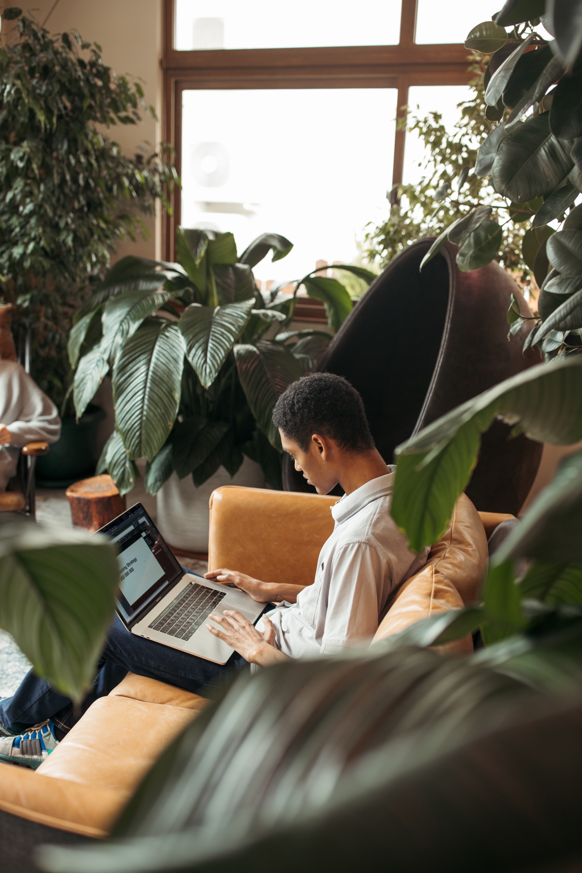 Legal education and courses, self-study courses